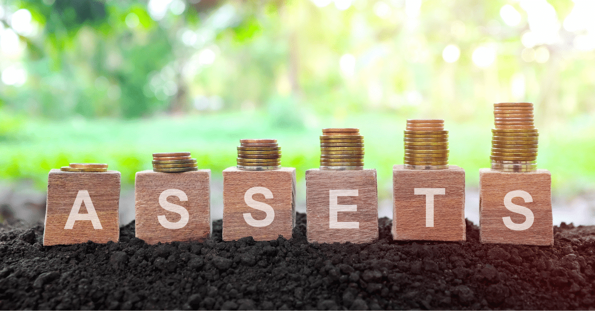 asset protection attorney